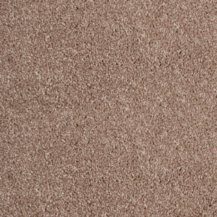 Barley 34 Distinction Supreme Carpet