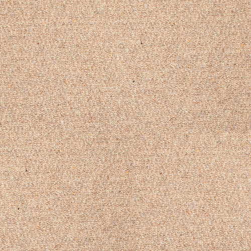 Stainfree Barley Oakland Berber Carpet