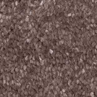 Basswood 39 Promenade Carpet Clearance