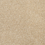 Beach 31 Promenade FusionBac Carpet