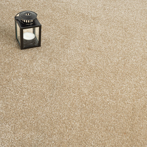 Beach 31 Sophistication Supreme FusionBac Carpet