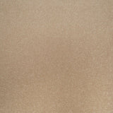 Beach Beige Apollo Plus Carpet by Cormar