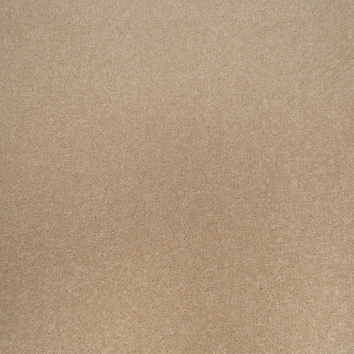 Beach Beige Apollo Plus Carpet by Cormar