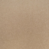 Beach Beige Apollo Plus Carpet by Cormar