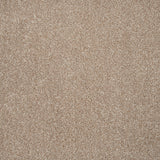 Beige Star Twist Carpet