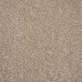 Beige Star Twist Carpet