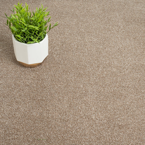 Beige Star Twist Carpet