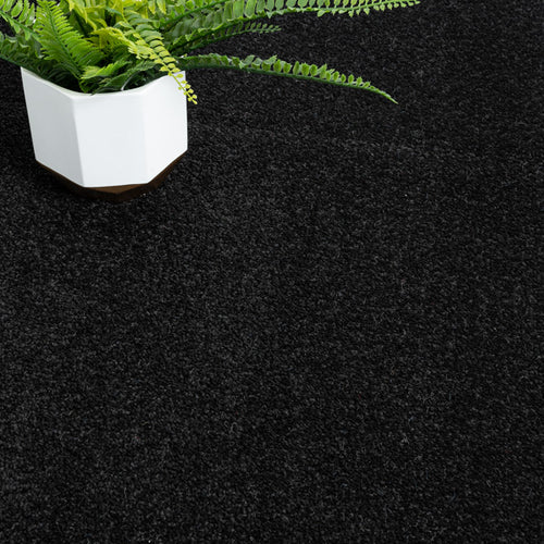 Black Belton Feltback Twist Carpet