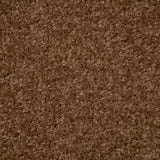 Brown Belton Feltback Twist Carpet Clearance