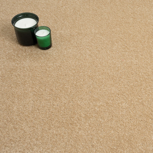 Golden Beige Belton Feltback Twist Carpet