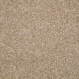 Stainfree Berber Deluxe Carpet