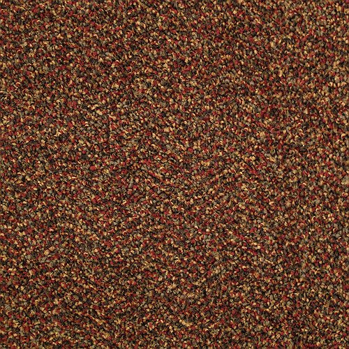 Calypso Stainfree Berber Deluxe Carpet