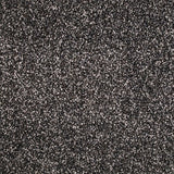 Stainfree Berber Deluxe Carpet