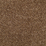 Stainfree Berber Deluxe Carpet