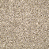 Stainfree Berber Deluxe Carpet