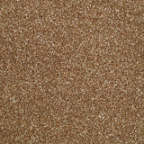 Stainfree Berber Deluxe Carpet