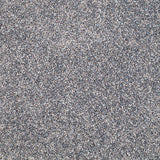 Stainfree Berber Deluxe Carpet