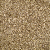 Stainfree Berber Deluxe Carpet