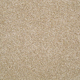 Stainfree Berber Deluxe Carpet