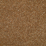 Stainfree Berber Deluxe Carpet