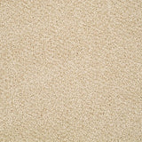 Stainfree Berber Deluxe Carpet