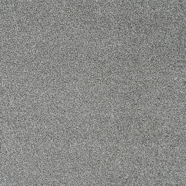 Bergen Frost Sensation Heathers 60oz Carpet