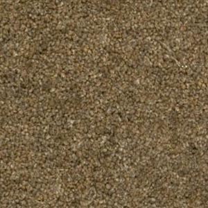 Berwick 50oz Carpet by Cormar