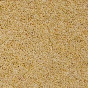 Hayseed Berwick 50oz Carpet by Cormar