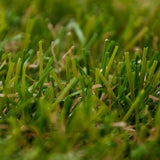 Rotterdam 20 Artificial Grass