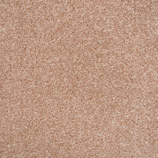 Biscuit 918 Easy Living Carpet