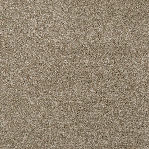 Biscuit 92 Serano Elite Intenza Carpet