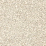 Blanched Almond 30 Dorado 56oz Invictus Gaia Carpet