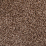 Stainaway Harvest Heathers Deluxe Carpet