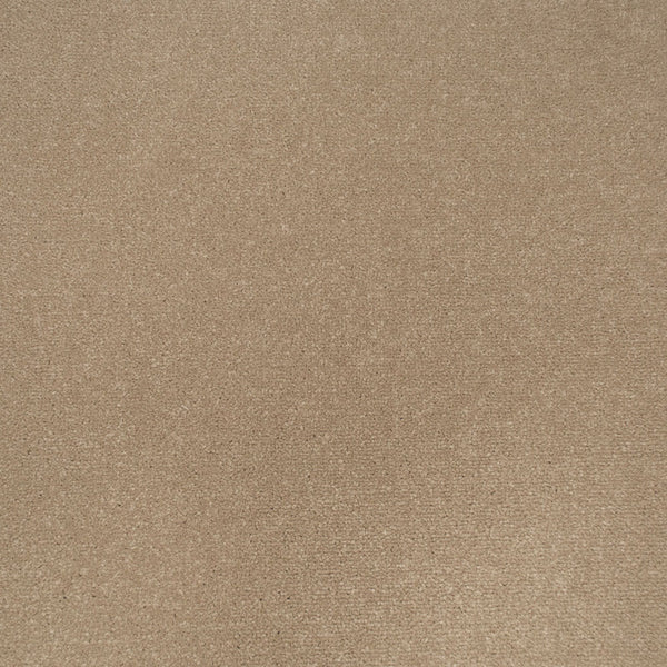 Boxwood Apollo Plus Carpet by Cormar