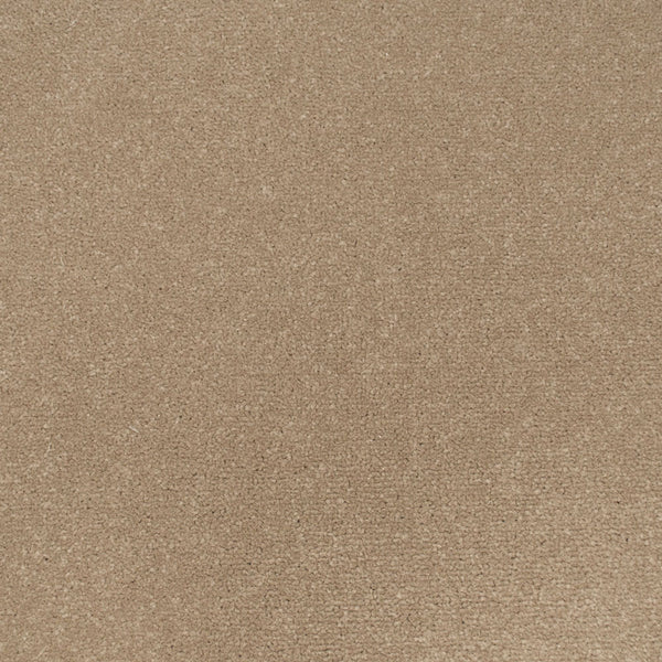 Boxwood Apollo Plus Carpet by Cormar