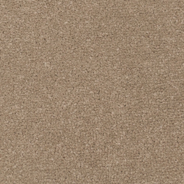 Boxwood Apollo Plus Carpet by Cormar