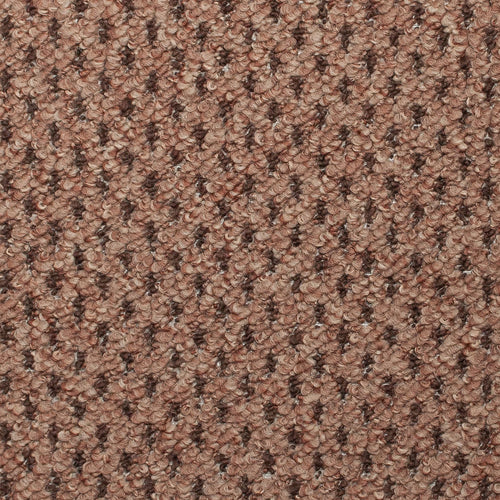 Biscuit Beige 994 Lete Carpet