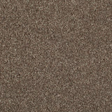 Brown 91 Minelli Carpet