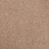 Brown Stone 855 Woolmaster Twist Deluxe Carpet