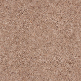 Brown Stone 855 Woolmaster Twist Deluxe Carpet