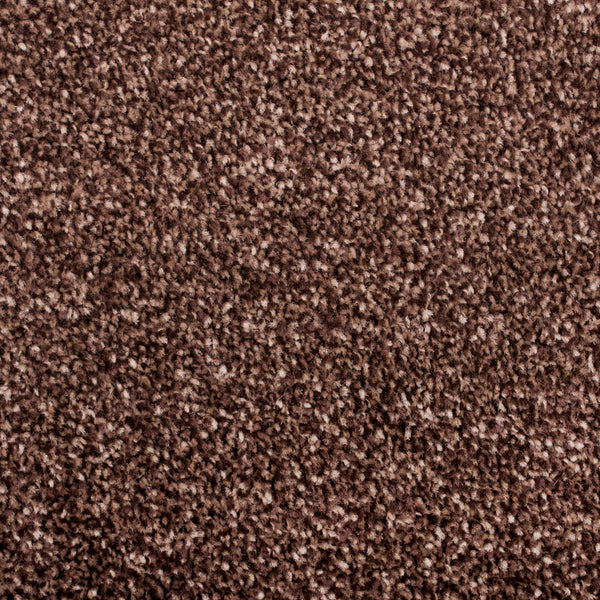 Brown 880 Splendid Saxony Actionback Carpet