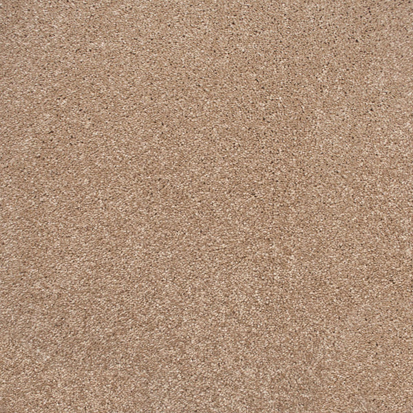 Brushed Cotton 700 Soft Noble Actionback Carpet