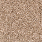 Brushed Cotton 700 Soft Noble Actionback Carpet