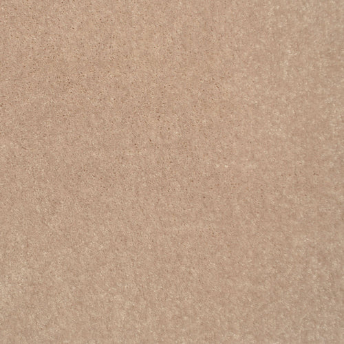 Camel 34 Splendour iSense Carpet