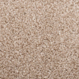 Beige Brown Noble Saxony Carpet