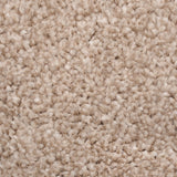 Beige Brown Noble Saxony Carpet