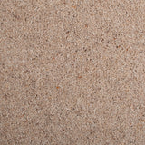 New Forest 38oz Wilton Carpet