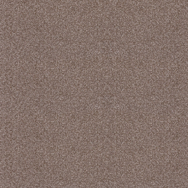 Cappuccino 800 More Noble Saxony Feltback Carpet