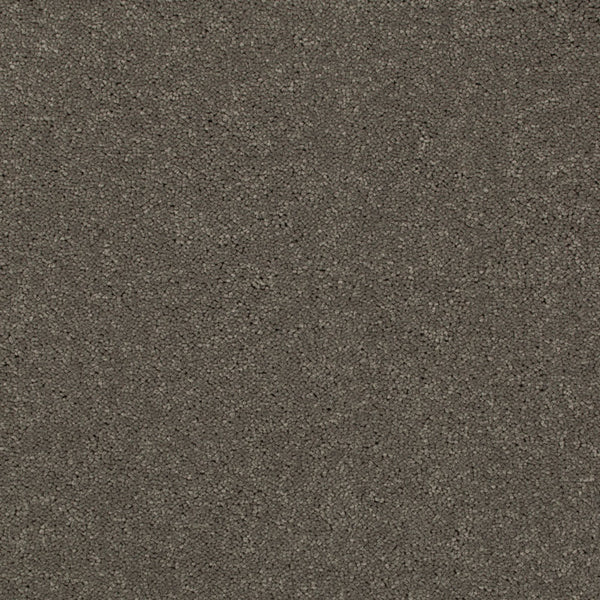 Carbon 79 Ultimate Twist Intenza Carpet