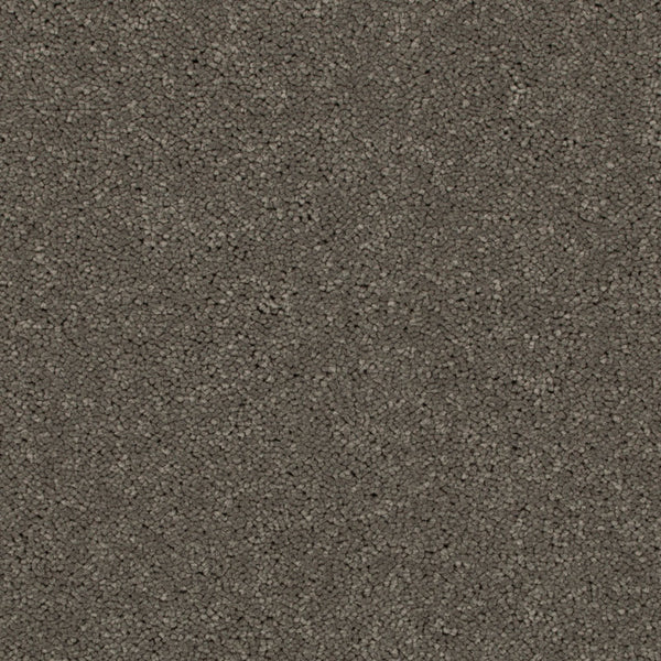 Carbon 79 Ultimate Twist Intenza Carpet